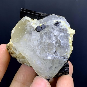 Schörl Schwarzer Turmalin Kristall Auf Quarz Aus Pakistan - 86 Gramm
