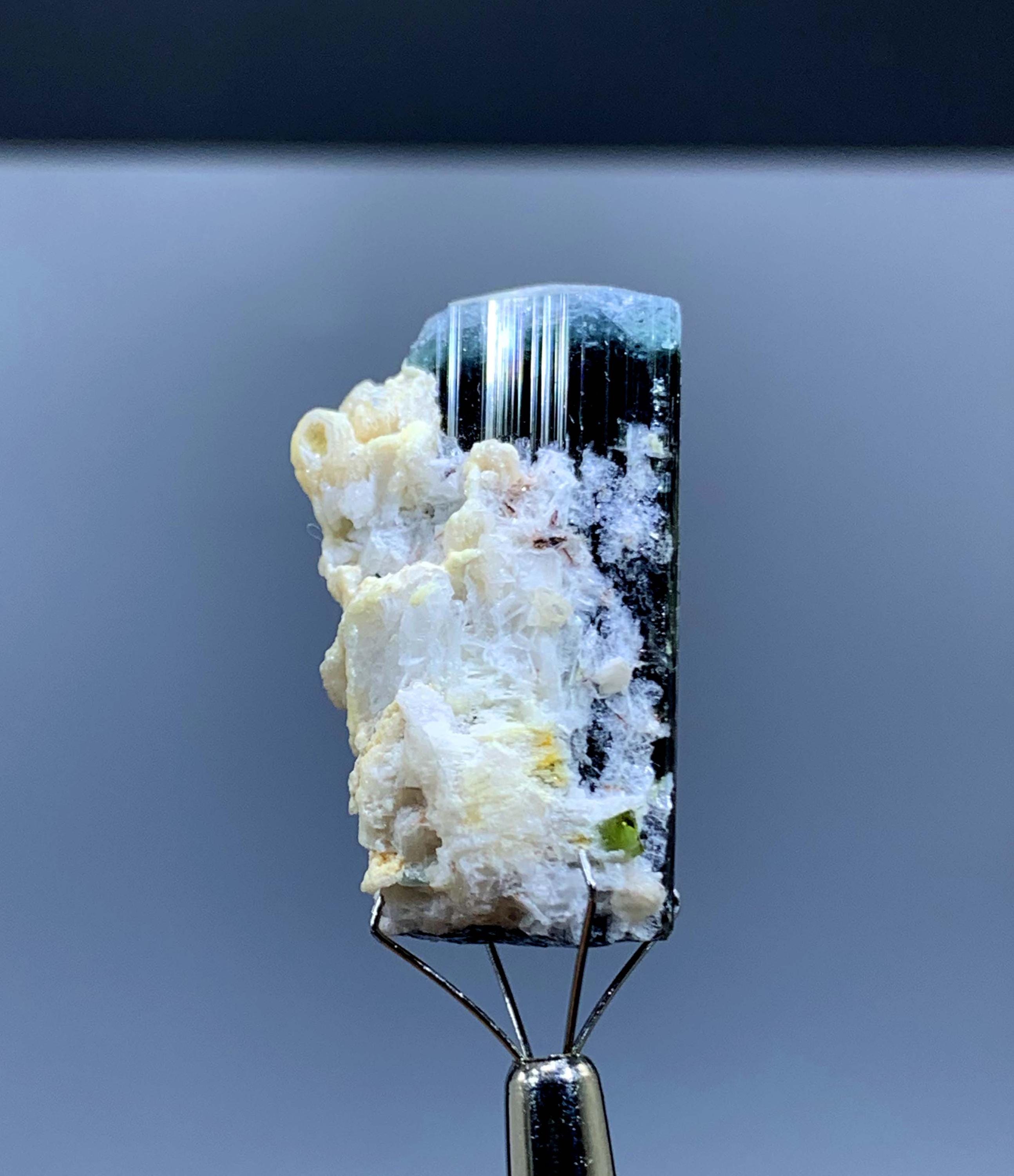 アフガニスタン産、アルバイト入り天然ブルーキャップトルマリン