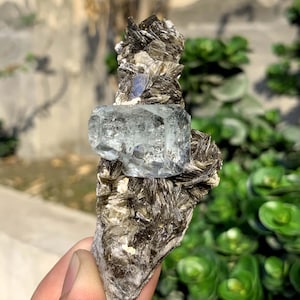 Transparent Diamond Cut Blue Aquamarine Crystal On Mica From Pakistan - 96 Gram