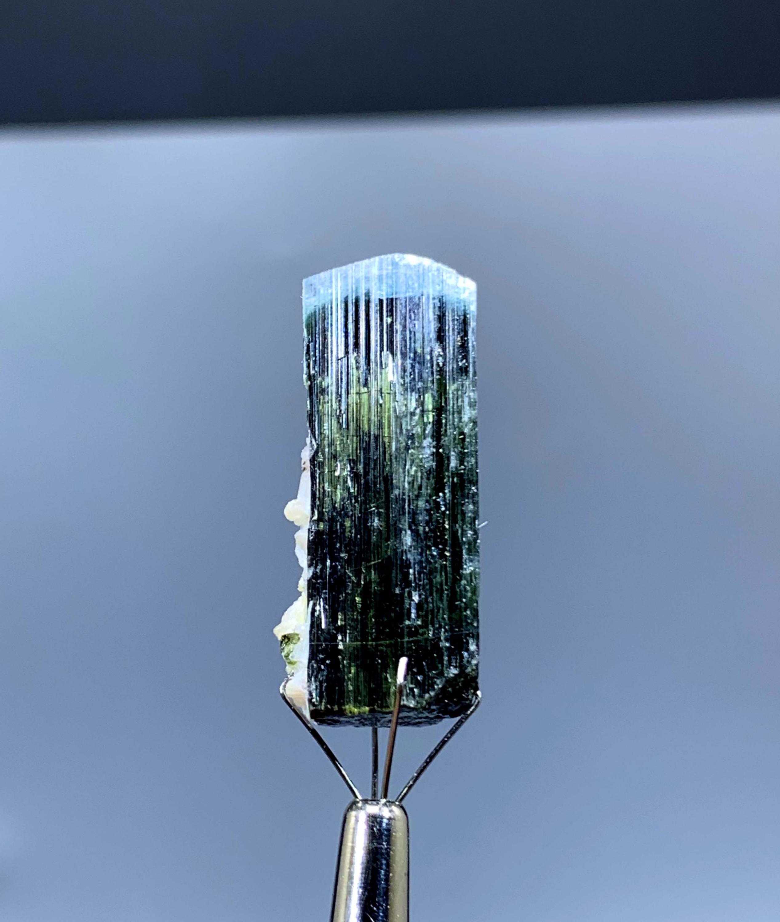 アフガニスタン産、アルバイト入り天然ブルーキャップトルマリン