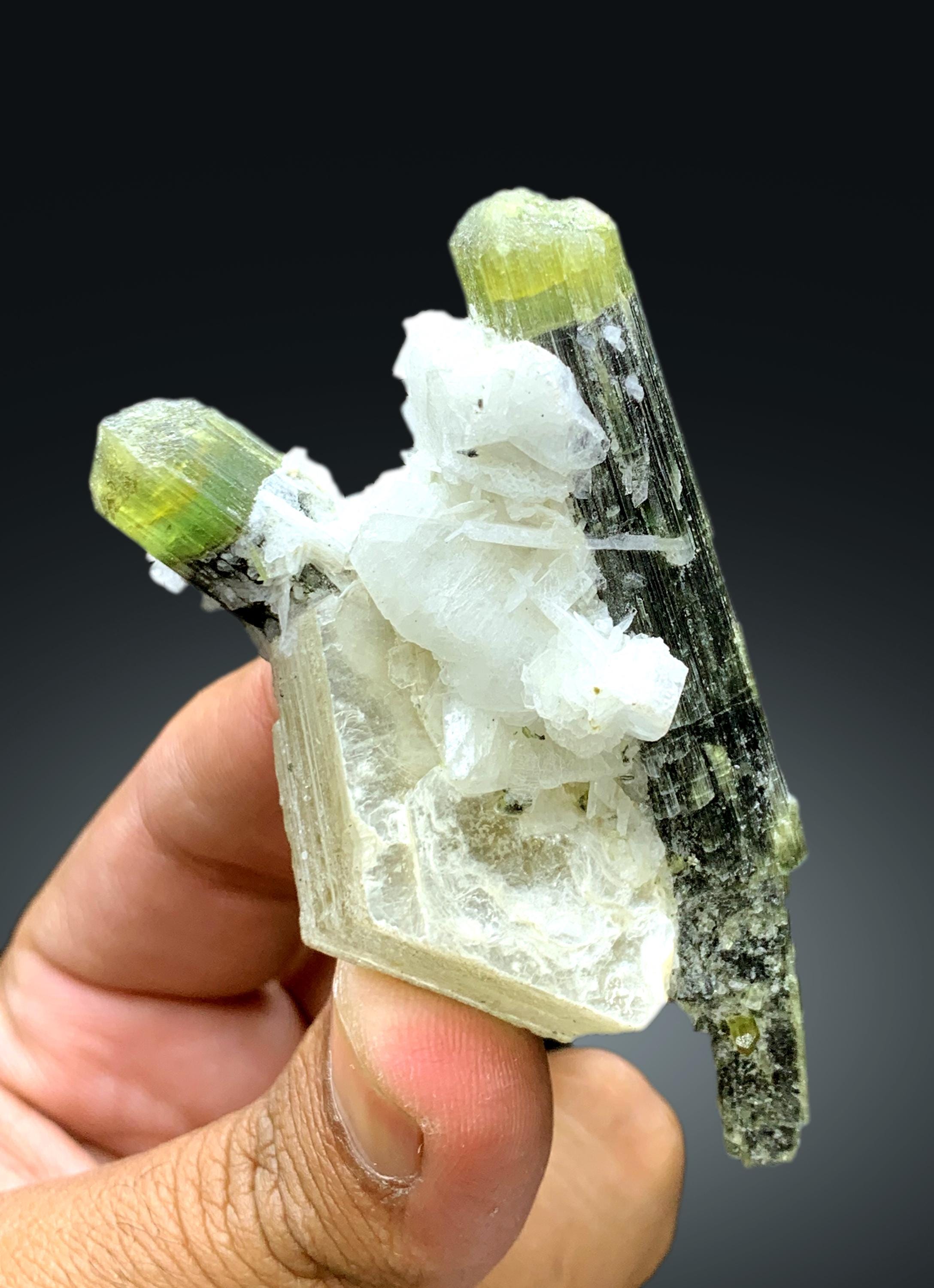 パキスタンのアスタックナラ産、雲母入りグリーンキャップトルマリン