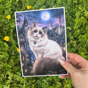 Impresión de muñeco de trapo con punta de foca de Halloween, arte de pared de muñeco de trapo mágico, obra de arte de muñeco de trapo de bruja, regalo conmemorativo de gato de trapo personalizado de bruja morada