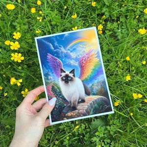 Seal Point Ragdoll Cat Crossing The Rainbow Bridge Wall Art, Seal Point Ragdoll Cat With Angel Wings, Seal Point Ragdoll Memorial Artwork