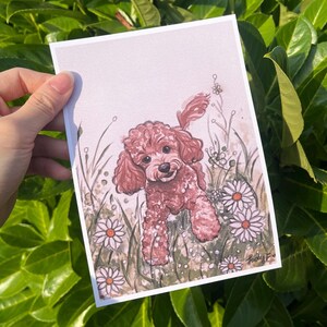 Red Poodle Wall Art Apricot Toy Poodle Light Brown Miniature Poodle Apricot Standard Poodle Apricot Mini Poodle Cafe Au Lait Poodle Brown