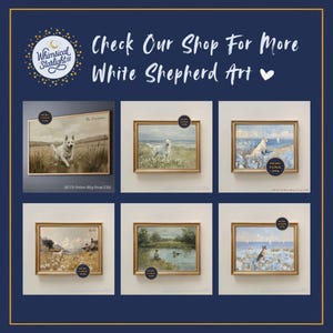 May include: A collection of framed art prints featuring white shepherd dogs in various outdoor settings. The prints have gold frames and are displayed against a neutral background. The text "Check Our Shop For More White Shepherd Art" is at the top.