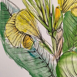 Yellow Canna Lily Print