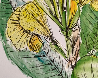 Yellow Canna Lily Print