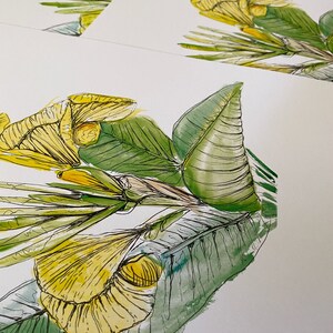 Yellow Canna Lily Print image 2