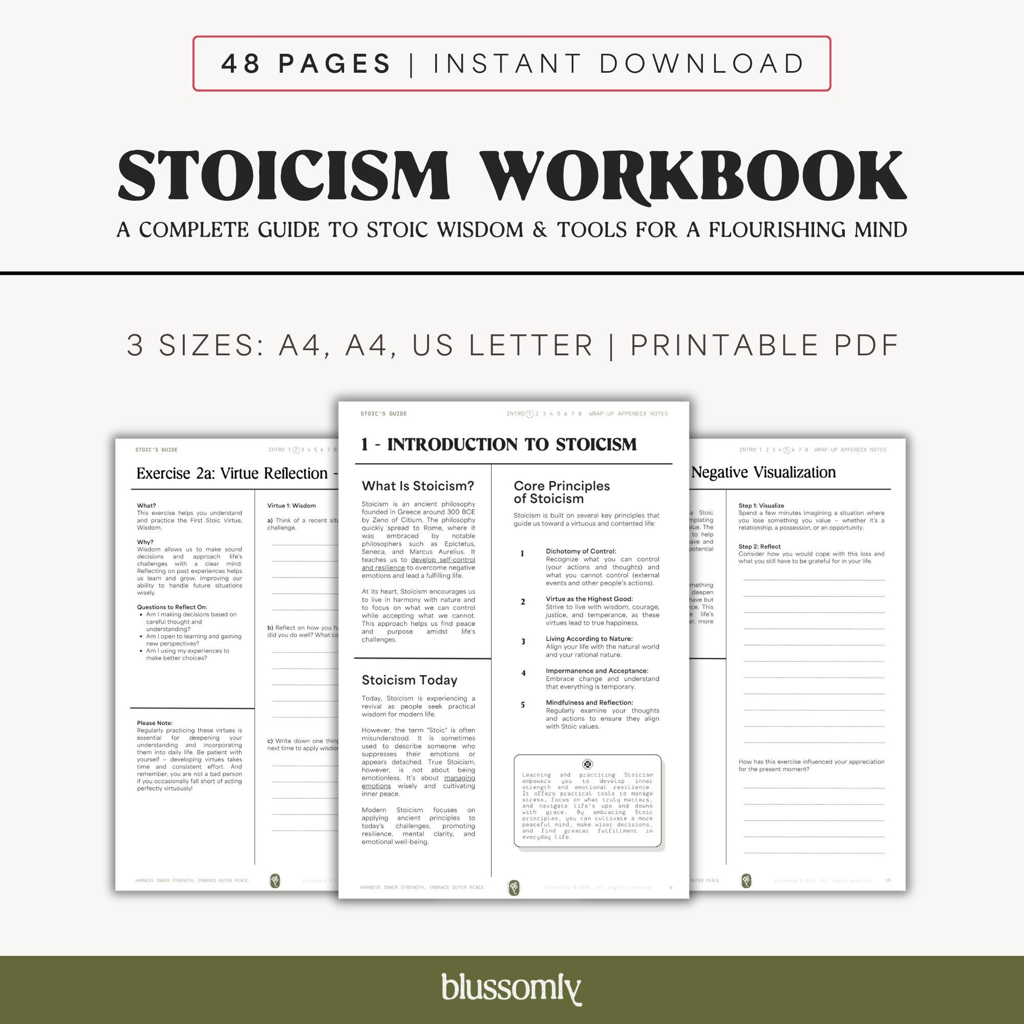 Stoic Mindset Workbook | Resilience & Personal Growth PDF | Printable Stoicism Journal for Inner Balance And Positive Thinking