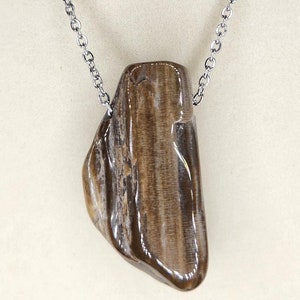 Petrified Wood Necklace Pendant