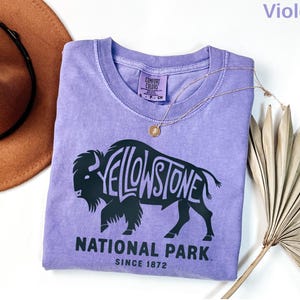 Vintage Yellowstone National Park TShirt | Retro US Parks Tee Shirt, Trendy Granola Girl, Oversized Top, Gorpcore Boho Forestcore Clothing