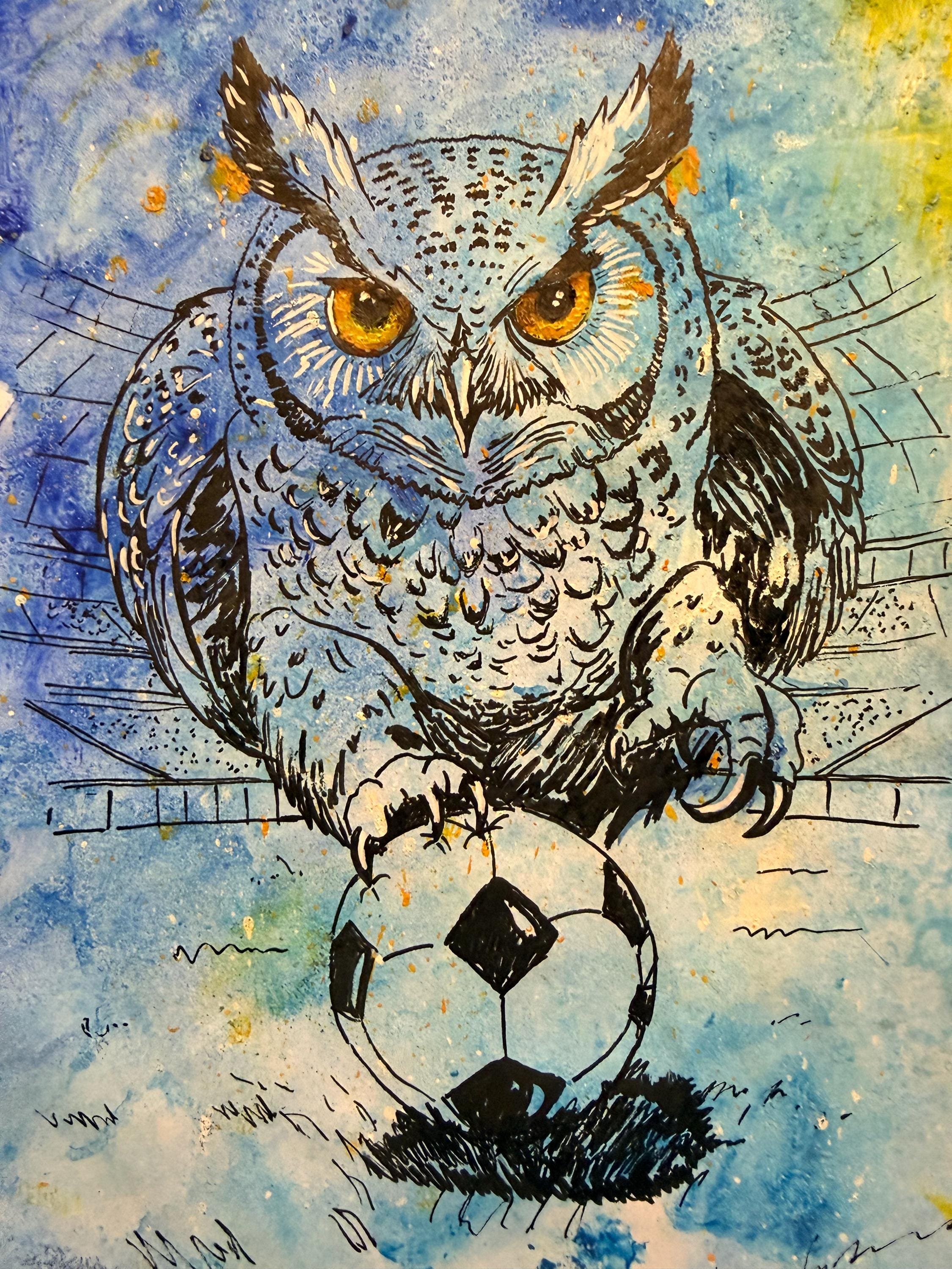 Owl Playing Football
