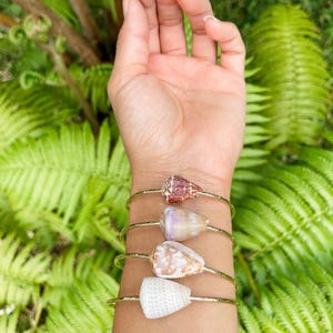 May include: Four gold-toned metal bangles, each adorned with a unique seashell. The shells vary in color, including shades of brown, purple, and white. The bangles are displayed against a backdrop of lush green foliage.
