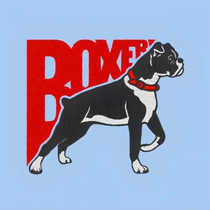 Machine embroidery design. Boxer dog.
