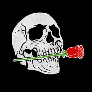 May include: A white skull with a single red rose in its mouth. The rose is green and has a red bud. The skull is on a black background.