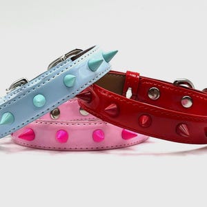 Peut inclure: Trois colliers pour chien avec des pointes. Les colliers sont en cuir verni brillant. Les colliers sont bleu, rose et rouge.