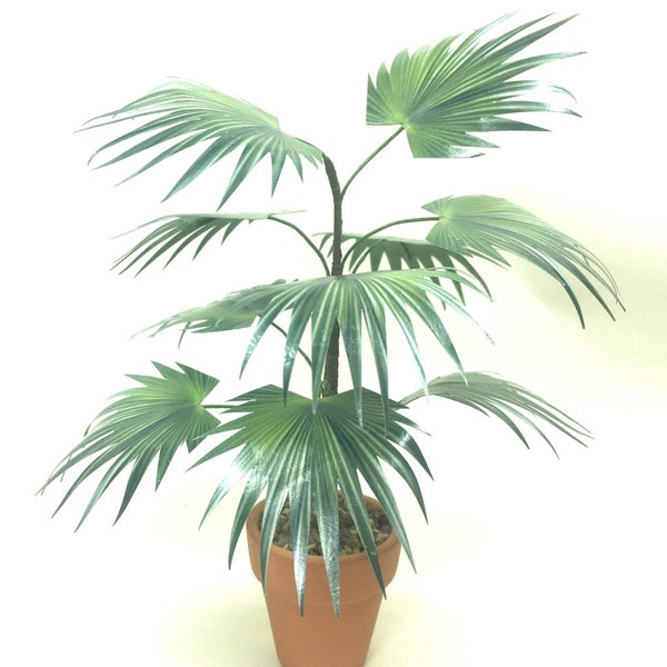 Chinese Fan Palm, Handmade Plant, Dolls house miniature, 12th scale