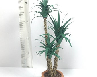 Medium 3 Stem Yucca, Handmade PLANT, dolls house miniature 1:12