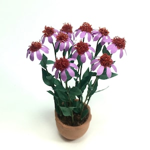 ZESTAW Fioletowo-różowa ECHINACEA, miniaturowy kwiat, ogródek w domku dla lalek, doniczka NIE jest dołączona