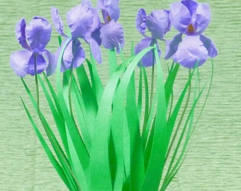 KIT Bearded Iris Purple/ white /magenta miniature flower, dollhouse garden, 1:12,pot NOT INCLUDED