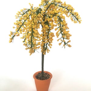 Golden Chain Handmade Laburnum TREE/PLANT dolls house miniature  12th scale
