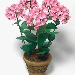 Peut inclure: Une plante en pot avec cinq grappes de fleurs roses. La plante a des feuilles vertes et est dans un pot en terre cuite brun avec un motif décoratif.