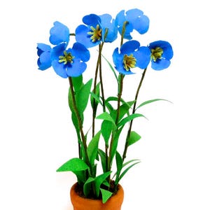 KIT 12 maisons de poupées bleu coquelicots/Meconopsis miniature jardin pot 1:12 non inclus
