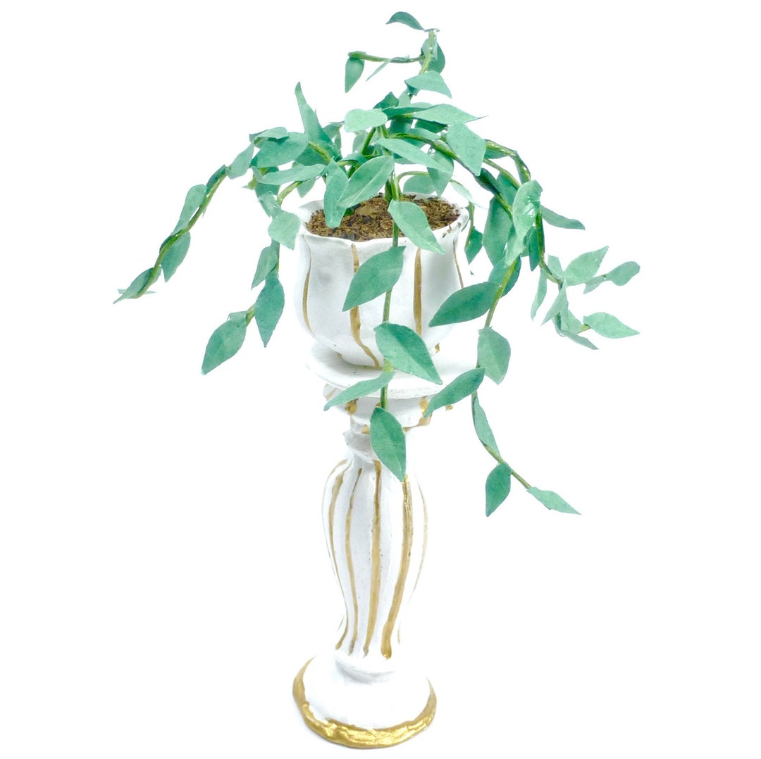 Trailing PLANT in Gold/white Jardiniere Dolls House Miniature - Etsy