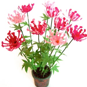ZESTAW Cleome flower 12 skala domek dla lalek, miniaturowy ogród, doniczka NIE JEST DOŁĄCZONA