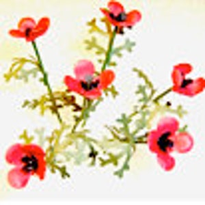 KIT « Champs de coquelicots » ROUGE Fleurs miniatures en papier maison de poupées jardin Scrapbooking fabrication de cartes