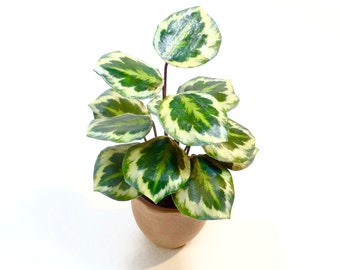 Handmade PLANTS Calathea MEDALLION  2 Sizes handcrafted 12th scale miniature