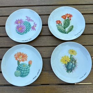 Op de afbeelding: Set van vier witte keramische borden met illustraties van verschillende cactussen en hun wetenschappelijke namen. De borden tonen een roze cactusbloem, een rode cactusbloem, een gele cactusbloem en een oranje cactusbloem.