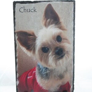 May include: A black slate photo frame with a stand, featuring a close-up photo of a small, white and brown dog with a red sweater. The dog is looking directly at the camera and the name "Chuck" is written in black at the top of the frame.