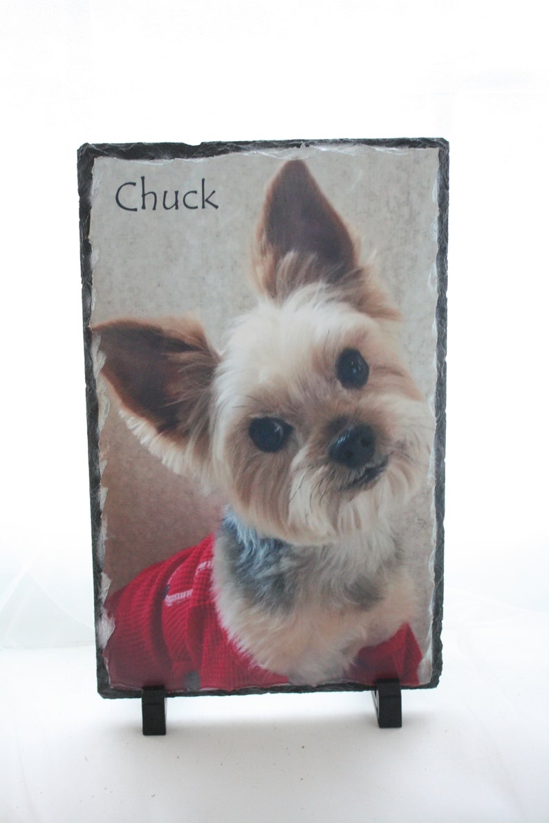 May include: A black slate photo frame with a stand, featuring a close-up photo of a small, white and brown dog with a red sweater. The dog is looking directly at the camera and the name "Chuck" is written in black at the top of the frame.
