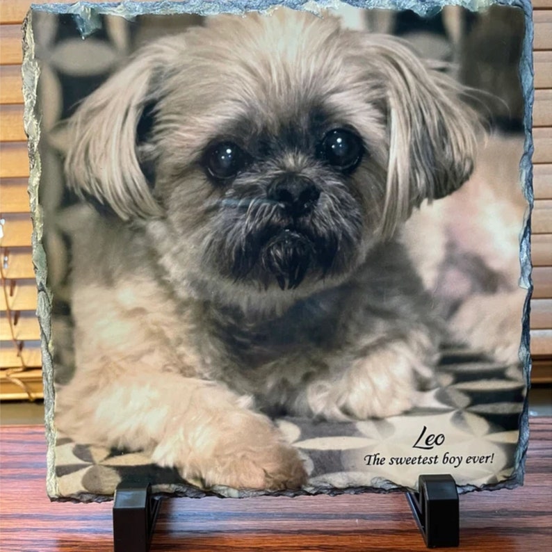 May include: A brown and white dog with a black nose and big brown eyes. The dog is lying down on a patterned surface. The text "Leo The sweetest boy ever!" is printed below the dog.