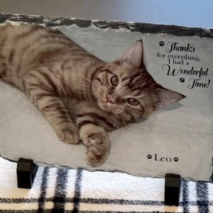 May include: A brown tabby cat with green eyes is lying on a gray slate plaque. The plaque has a black border and a white background. The text on the plaque reads "Thanks for everything, I had a Wonderful Time!" and "Leo".