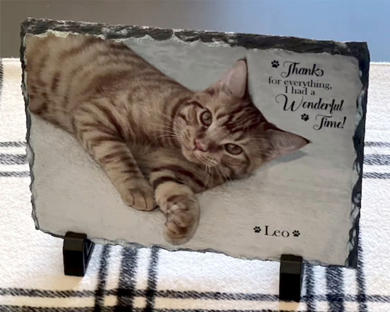 May include: A brown tabby cat with green eyes is lying on a gray slate plaque. The plaque has a black border and a white background. The text on the plaque reads "Thanks for everything, I had a Wonderful Time!" and "Leo".