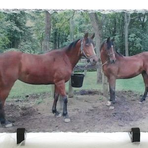May include: A slate photo plaque with a picture of two brown horses standing in a field. The horses are wearing bridles and one is holding a bucket. The plaque has a black metal stand.