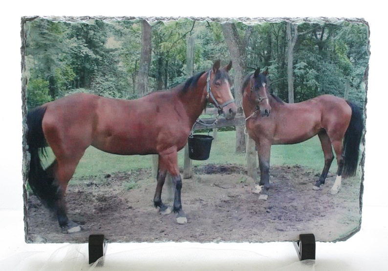 May include: A slate photo plaque with a picture of two brown horses standing in a field. The horses are wearing bridles and one is holding a bucket. The plaque has a black metal stand.