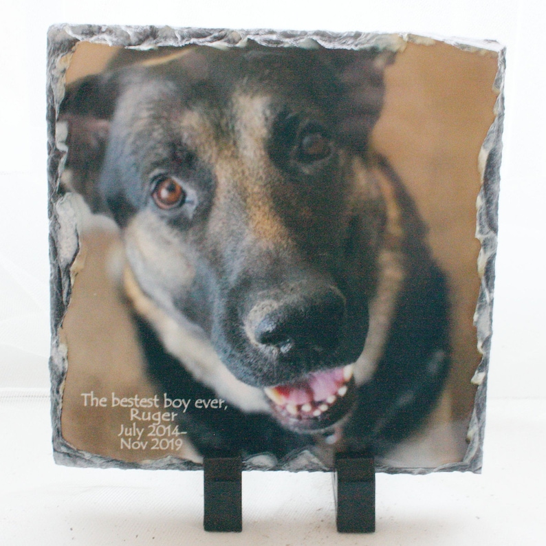 May include: A black and brown dog with a white background. The dog is looking at the camera with its mouth open. The text "The bestest boy ever, Ruger, July 2014 - Nov 2019" is printed on the slate.