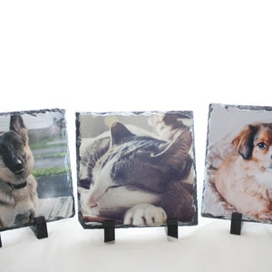 May include: Three slate photo frames with black metal stands, each featuring a different pet. The first frame shows a German Shepherd dog, the second frame shows a cat, and the third frame shows a small brown and white dog.
