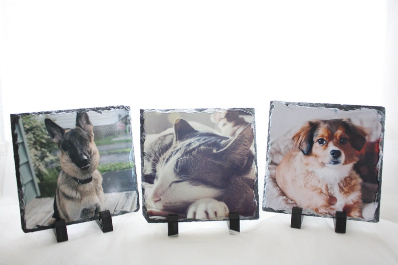 May include: Three slate photo frames with black metal stands, each featuring a different pet. The first frame shows a German Shepherd dog, the second frame shows a cat, and the third frame shows a small brown and white dog.