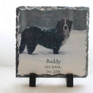 Photo Rock Slate Pet Lovers Pet Memorial Custom Personalized Mothers Day Fathers Day Gift with pets picture