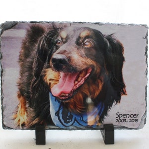 May include: A black and brown dog with a blue bandana is pictured on a slate stone with a black stand. The dog is looking at the camera with its tongue sticking out. The text "Spencer 2003-2019" is printed on the slate stone.