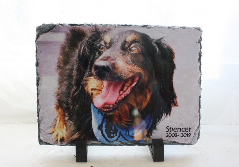 May include: A black and brown dog with a blue bandana is pictured on a slate stone with a black stand. The dog is looking at the camera with its tongue sticking out. The text "Spencer 2003-2019" is printed on the slate stone.