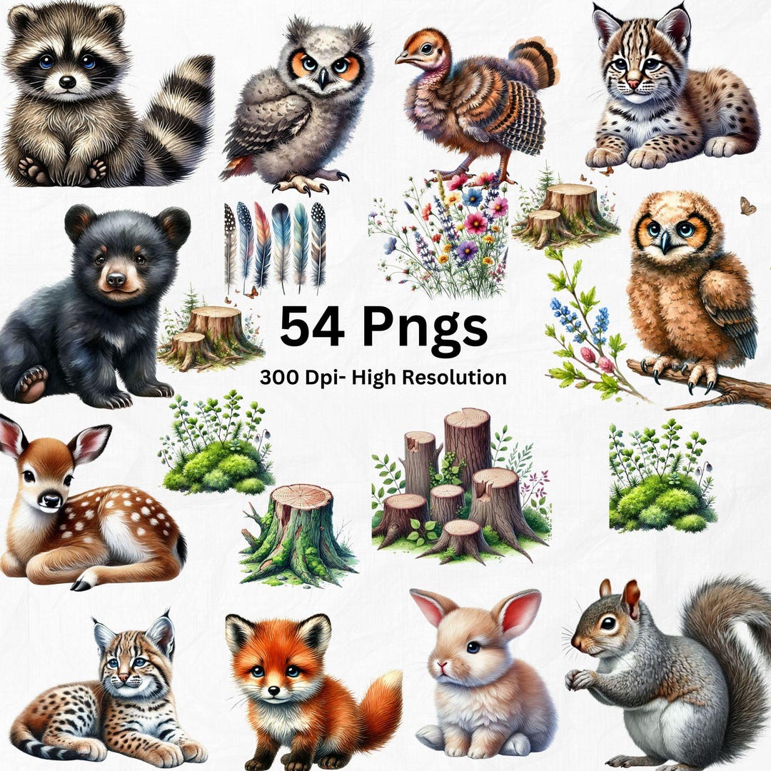 Woodland Animals Watercolor Clipart, Woodland Animals Clipart Bundle ...
