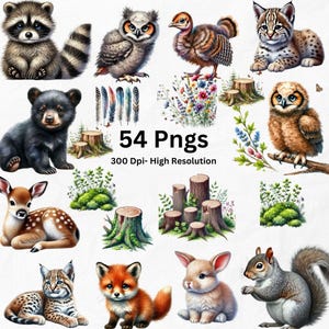 Woodland animals watercolor clipart, Woodland Animals Clipart Bundle, forest animals clip art, nursery decor, bear, fox, owl, hedgehog, deer