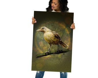 Illustrated Clay-Colored Thrush Bird Poster - Home Decor Wall Art Print