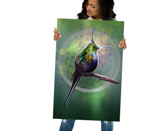 Affiche illustrée d'oiseau de colibri à queue d'épine à crête filaire - Impression d'art mural pour décoration d'intérieur