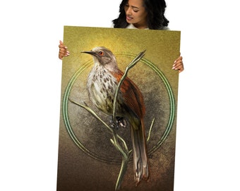 Illustrated Long-Billed Thrasher Bird Poster - Home Decor Wall Art Print